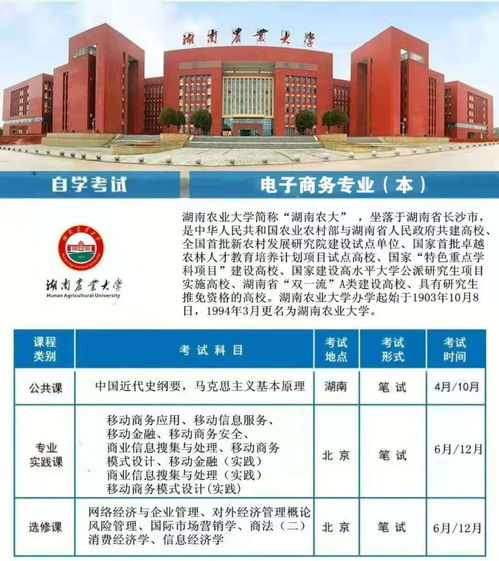 单招电子商务专业吗