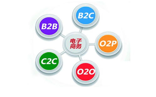 天商电子商务专业考试