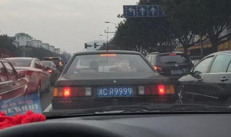 温州公务车遮挡车牌事件，警方权威回应