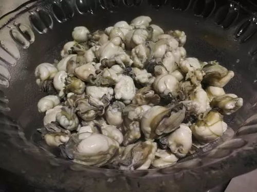 男子误食毒蘑菇，超致死量五倍，奇迹生还