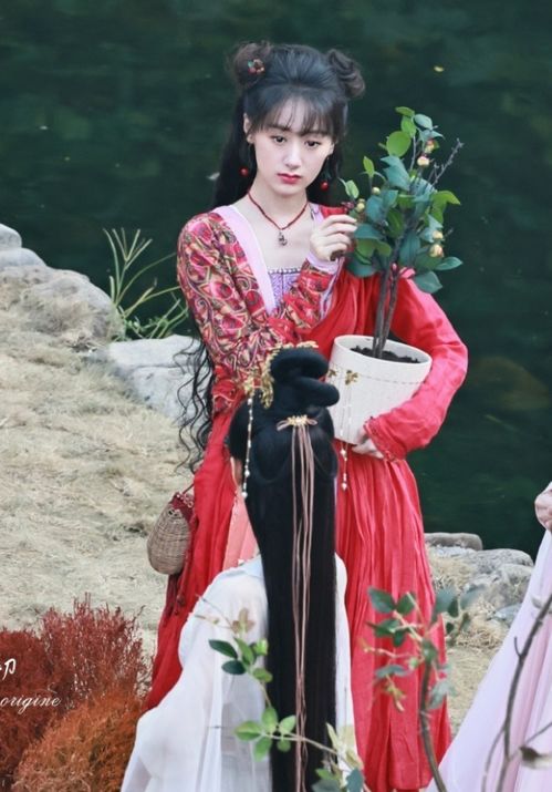 《落花时节又逢君》开播