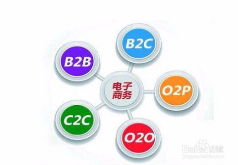 港研电子商务专业录取