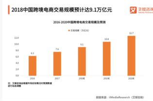 关于电子商务专业的想法