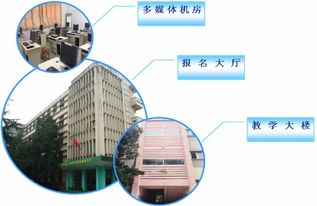 电子商务专业 营销学科