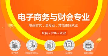 专业的电子商务人才不足