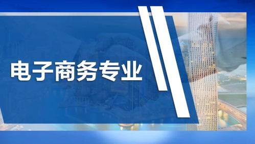 提升电子商务专业技能