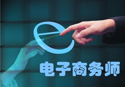 电子商务师专业特长