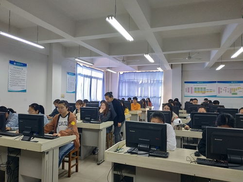 电子商务专业介绍及就业