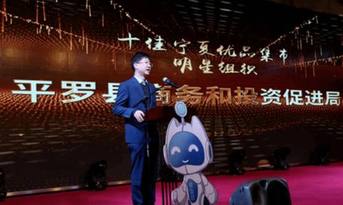 哪些明星是电子商务专业