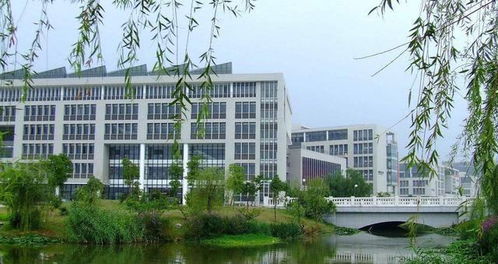 广东专业电子商务的大学