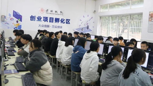 电子商务专业能进哪些国企