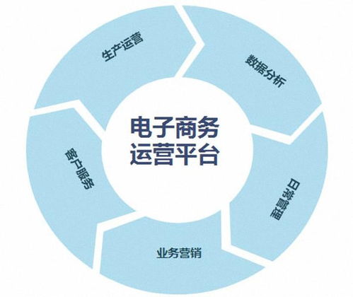 电子商务技术与工程专业