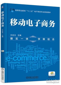 对于电子商务专业的规划