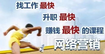 对电子商务专业的赞美