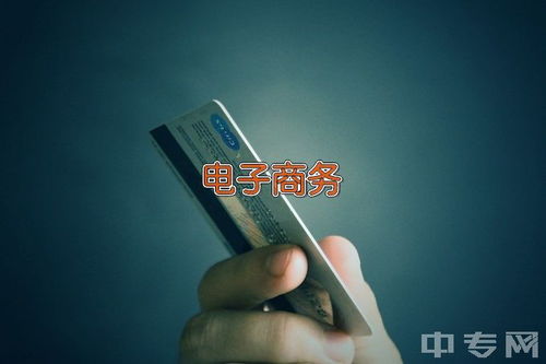 电子商务专业代码及名称