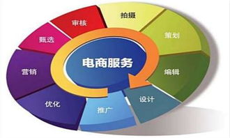 大专电子商务专业描述