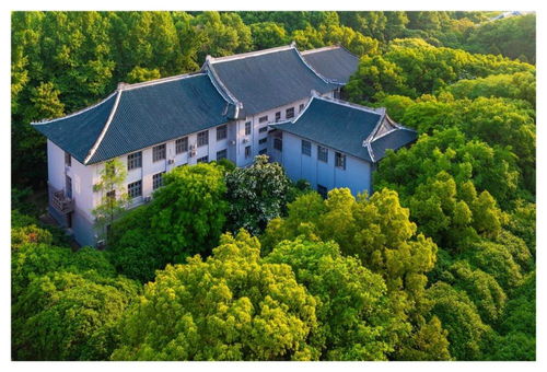 茶山有电子商务专业吗