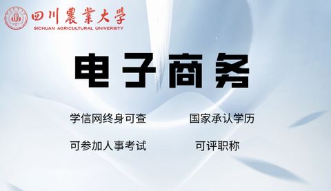 高起专 电子商务专业