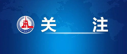 专家总结西班牙大停电三大原因