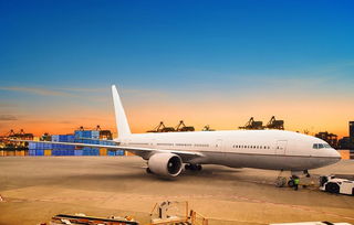 上海航空电子商务专业