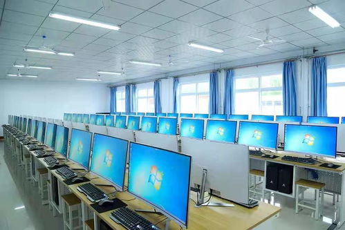 石家庄电子商务专业方向