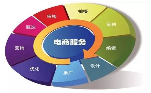 电子商务专业有什么技能