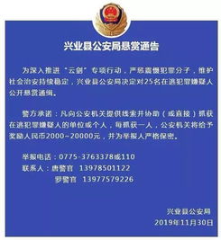 无锡中院发布悬赏公告，最高奖2400万引热议