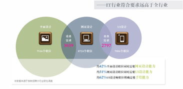电子商务专业技术路线