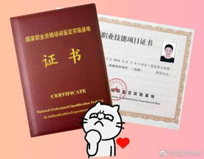 电子商务专业考哪些证书