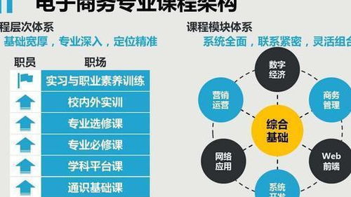 电子商务专业就业和前景