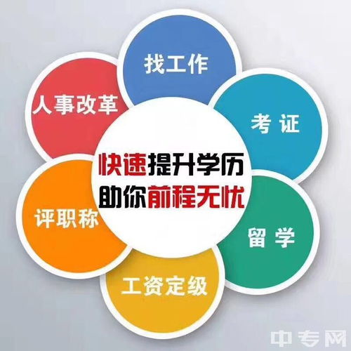 成人本科电子商务专业