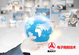 跨境电子商务专业怎么报