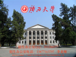 广西文科电子商务专业