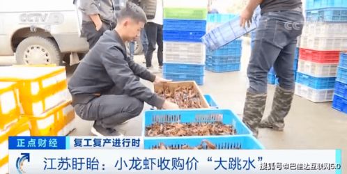 泰山陪爬小伙两天挣了近2000元