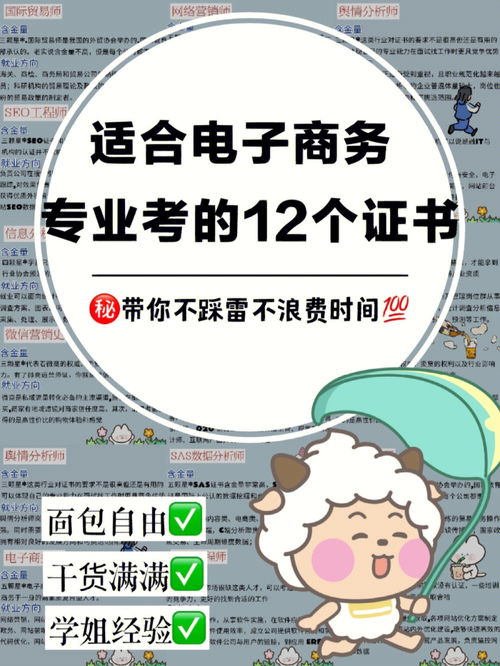 电子商务专业考什么编制