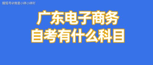 自考有电子商务专业么