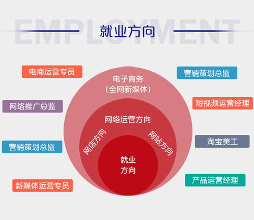 电子商务专业的工作方向