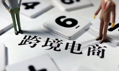 可以从事电子商务的专业