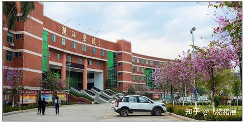 广东专业的电子商务学校