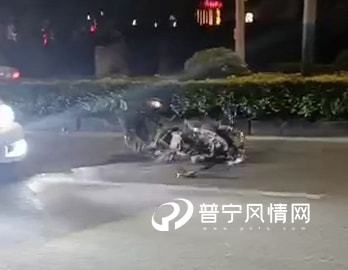 野猪凌晨突袭出租车，当场不幸身亡