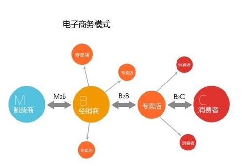 电子商务专业发展时间轴