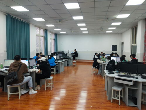 电子商务专业课教师技能