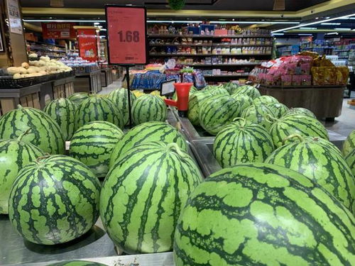 收购价仅2毛，今年西瓜为何这么便宜？