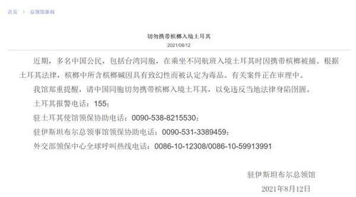 多名中国公民被印度拘捕 我使馆提醒