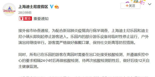 上海迪士尼乐园游客冲突事件，警方通报与事件始末