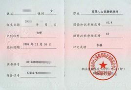电子商务专业需要看哪些证书