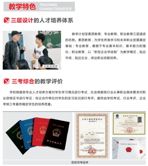 电子商务可以单招嘛专业
