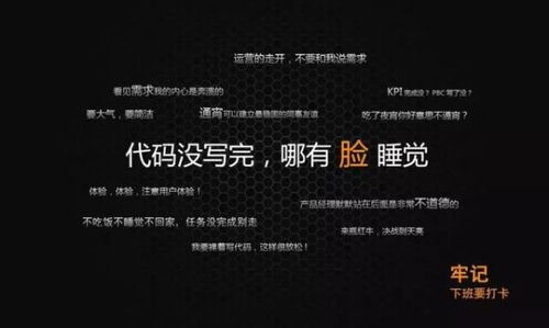 电子商务专业我想对你说