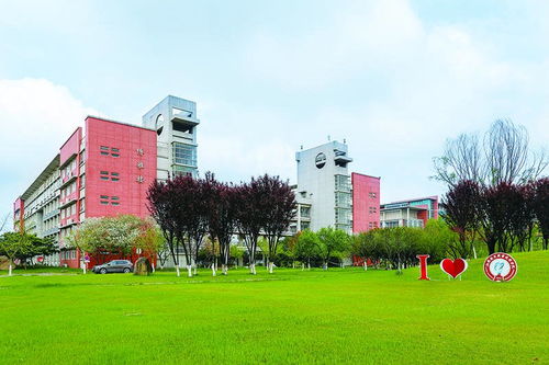 连云港大专电子商务专业