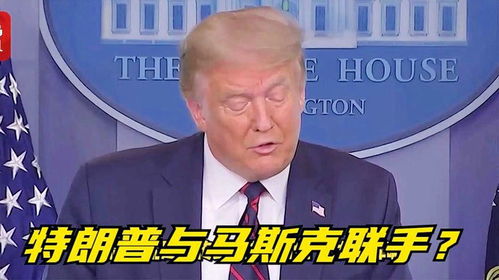 马斯克为何又改口拍特朗普马屁